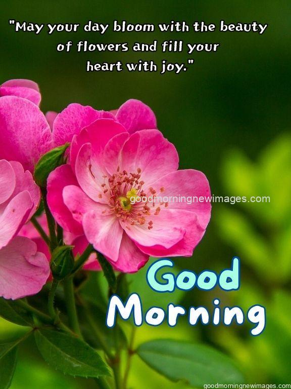 Day Greetings - goodmorningnewimages.com