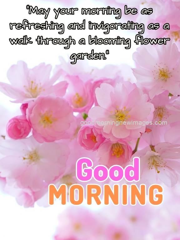 flowers with good morning images